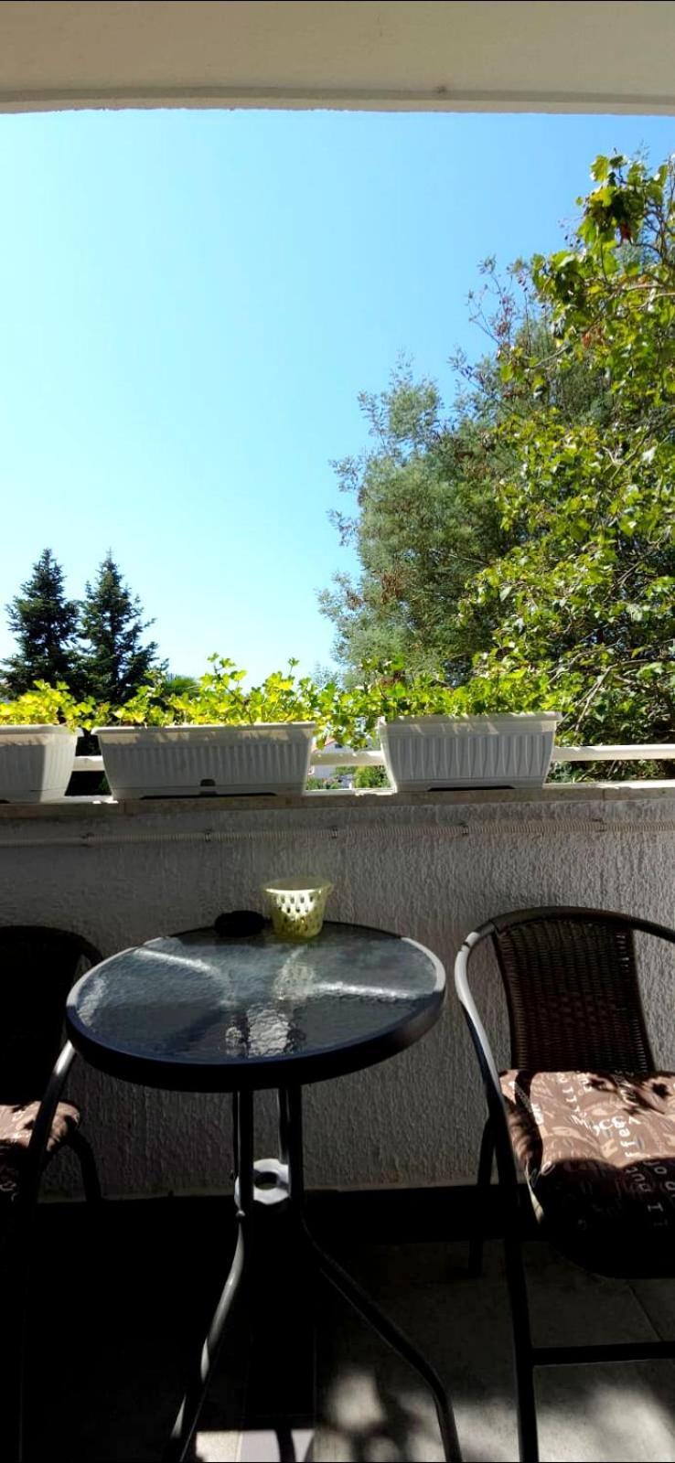 Apartament Diana Poreč Zewnętrze zdjęcie